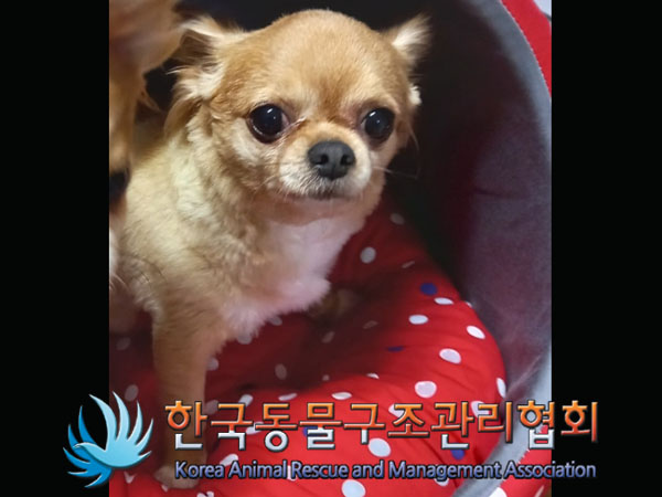 한국동물구조관리협회_411315202300376